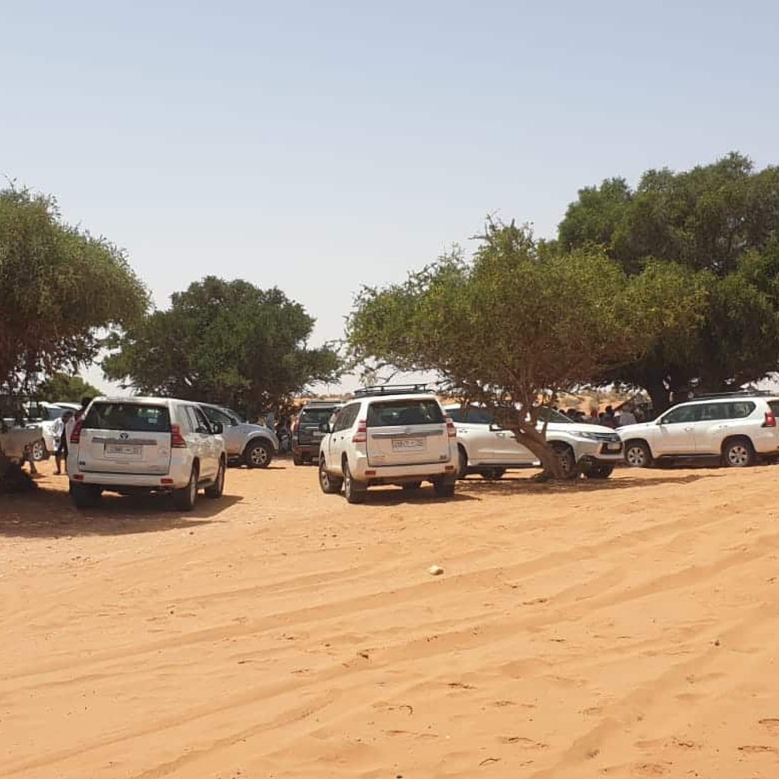 Home 57 Agadir tours