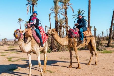 agadir camel ride